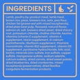 thumbnail image 4 of Small Matters Adult Dog Food for Small Dogs, Lamb & Brown Rice Recipe, 4lb bag, 4 of 8