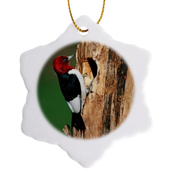 3drose, Red-headed Woodpecker at Nest Site, Illinois, 3 inch Snowflake Porcelain Ornament