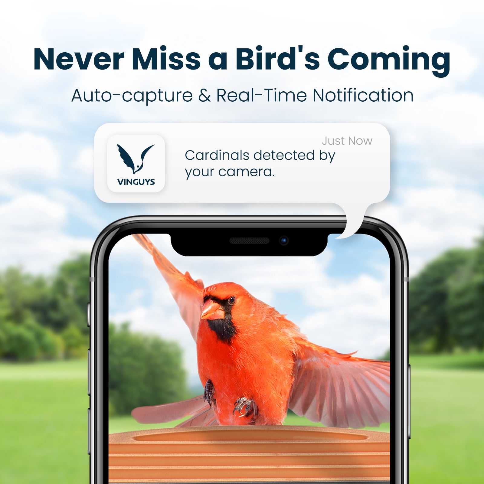 VINGUYS Bird Feeder with Camera and Smart AI Identification, Solar Powered IP66 Waterproof for Outdoor Birding, Green