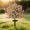 Pink, variant on Zeiwohndc Bright Grape Artificial Flower with Sturdy Round Base for Yard Decoration