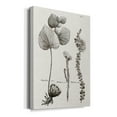 thumbnail image 2 of Black & White Protea on Linen II Premium Gallery Wrapped Canvas - Ready to Hang, 2 of 9