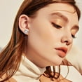 thumbnail image 2 of BNNG Crystal Stud Earrings For Women Ladies' Glamorous Rhinestone Ear Hoops Rose Love Pato Stone Earrings S925 Silver Needle Allergy Prevention Small Sea Heart Earrings Women'S Skeleton Ear Vines, 2 of 8