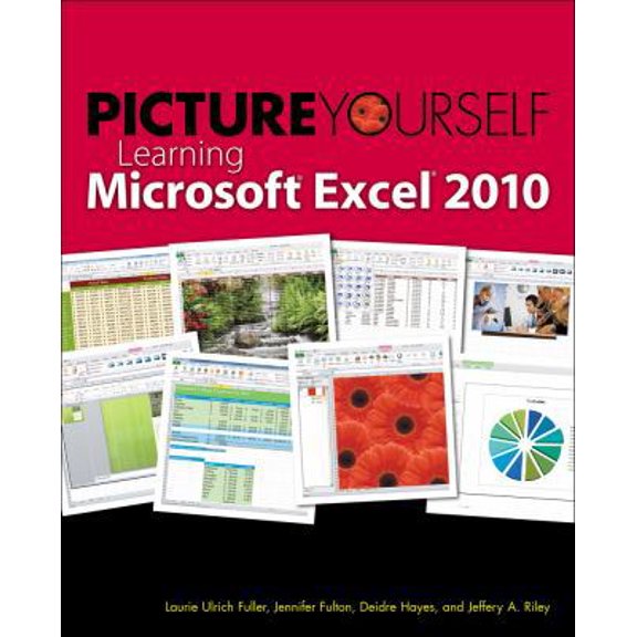 Pre-Owned Picture Yourself Learning Microsoft Excel 2010 (Paperback) 1598638882 9781598638882