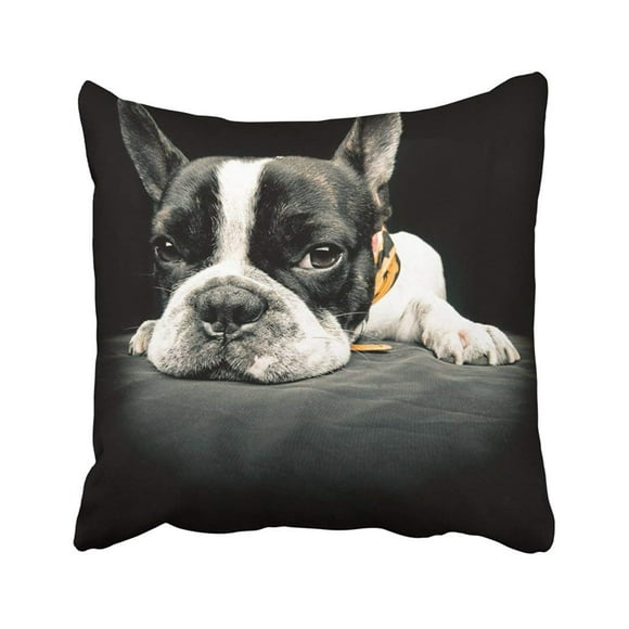 RYLABLUE Puppy Close Plane of French Bulldog Dog Cute Frenchie Looking Pedigree Adorable Animal Pillowcase 20x20 inch