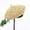 Beige, variant on HNMKIU French Artist Beret Solid Color Baseball Cap for Women Breathable Casual Fashion Hat Black,One Size
