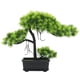 thumbnail image 1 of Wosthever ABS Fake Potting Portable Vivid Lifelike Reemplazo de larga duración Gabinete de vino Balcón Planta artificial de escritorio Decoración olla negra Wosthever HA083964-01, 1 of 6