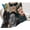 Style-4, variant on Cool #1 Callum Turner Blanket Throw Blankets Ultra Soft Flannel Lightweight Throws for Couch, Bed, All Seasons Use 30""*40""（76 * 100cm）, Style