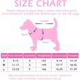 thumbnail image 2 of LAICAIW Gradient Color Dog Harness and Leash Set, Adjustable Lightweight Pet Products, Fashionable Comfortable no Pull Rope Set for Small&Medium Dog (Small Collar Harness Leash, Pink), 2 of 7