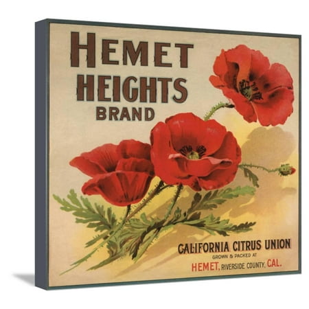 International Imports Citrus Heights Hemet Heights Brand - Hemet, California - Citrus Crate Label Stretched Canvas Print Wall Art By Lantern Press ()
