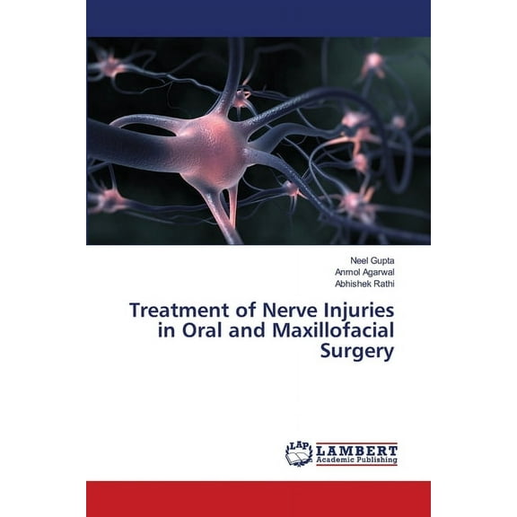 Treatment of Nerve Injuries in Oral and Maxillofacial Surgery (Paperback)