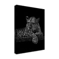 thumbnail image 2 of Trademark Fine Art 'Jaguar' Canvas Art by Geraldine Aikman, 2 of 3