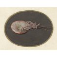 thumbnail image 2 of Jan Augustin van der Goes 18x15 Gold Ornate Wood Frame and Double Matted Museum Art Print Titled - Shrimp (1690), 2 of 4