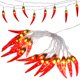 thumbnail image 1 of BRIGHTFUFU De Cadena Con Luces De Chile 20 Leds Para Camping Fiesta Impermeable, 1 of 7