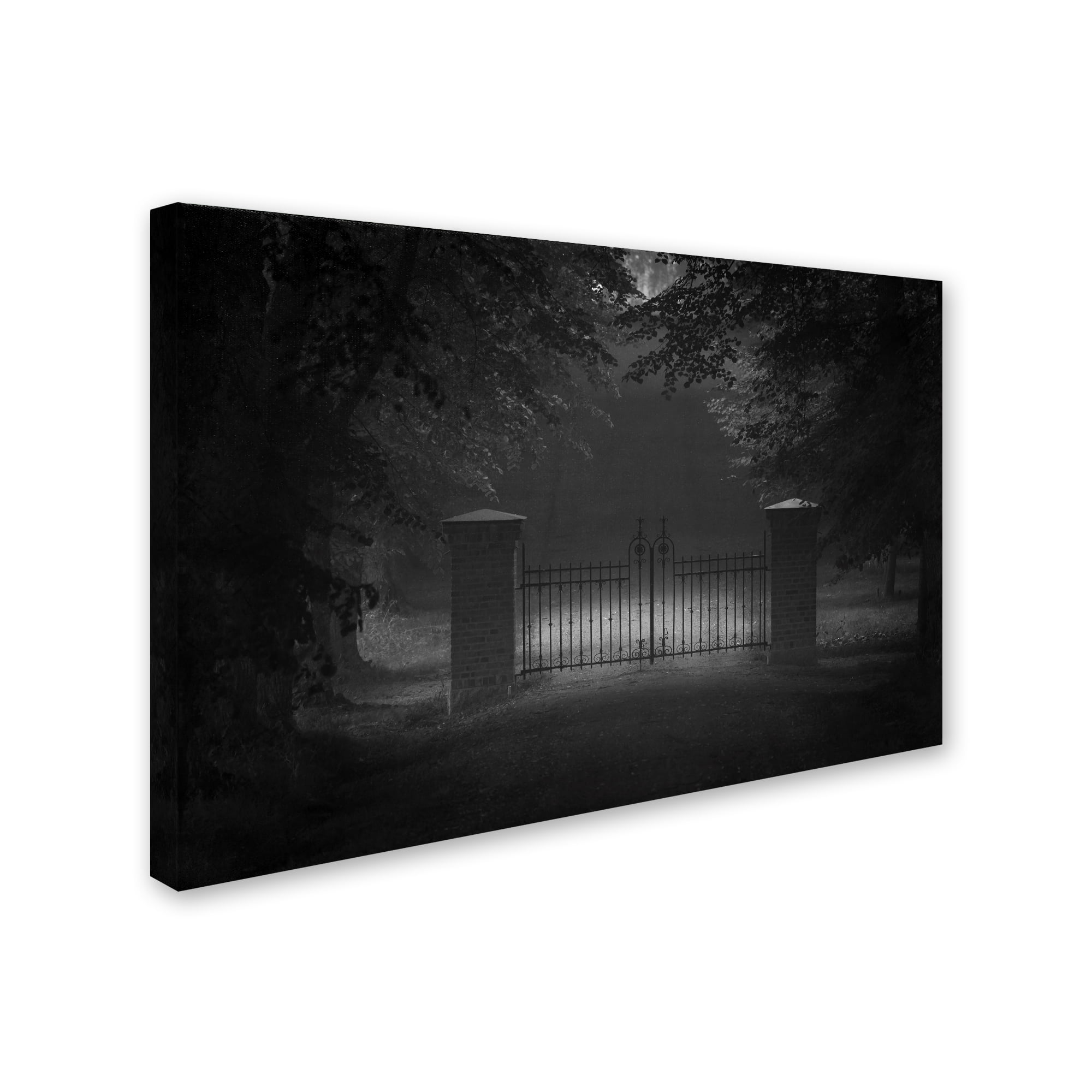 Allan Wallberg 'Far But No Further' Canvas Art