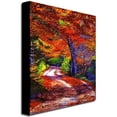 thumbnail image 2 of Trademark Art "Sunlight Through The Trees" Canvas Wall Art by David Lloyd Glover, 2 of 2