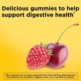 thumbnail image 2 of Naturemade Nature Made Probiotic Energy Gummy 50ct, 2 of 12