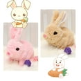thumbnail image 3 of Easter Plush Stuffed Bunny Toy, 3 of 5