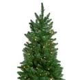 thumbnail image 3 of Northlight Real Touch™ Pre-Lit Artificial Altoona Pine Slim Christmas Tree - 7' - Clear Lights, 3 of 6