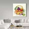 thumbnail image 3 of Trademark Fine Art 'Vegetable Basket' Canvas Art by Barbara Mock, 3 of 3