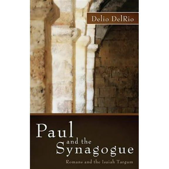 Paul and the Synagogue (Hardcover)