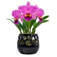 thumbnail image 1 of Maceta Decorativa De Cerámica Esmaltada Para Orquídea Flor Negro, 1 of 5