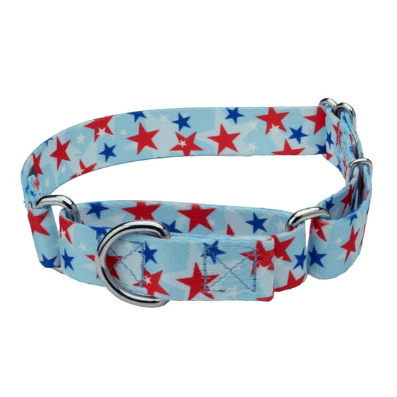 Country Brook Petz® American Celebration Martingale Dog Collar, 2XS