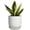White, variant on Ordivic 5-inch White Ceramic Round Planter with Drainage Hole and Saucer for Succulents and Cactus