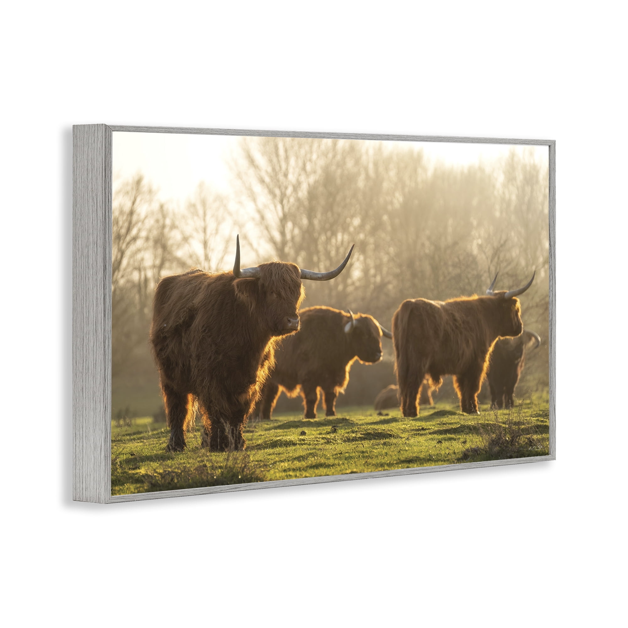 Stupell Industries Longhorns in Foggy Pasture Animals & Insects Photography Gray Framed Art Print Wall Art, 24 x 16