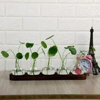 Glass Terrarium Set Verdsylv Glass Terrarium Propagation Station - Wooden Stand Planter with Bulb Vases for Plant Lovers, Home Garden Decor Set, Plant Propagation Station, B