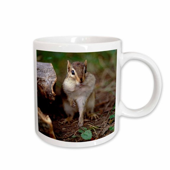 3drose, Minnesota, Itasca Sp, Eastern Chipmunk Wildlife - Us24 Pha0028 - Peter Hawkins, 15oz Mug