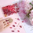 thumbnail image 3 of 1 Box 280Pcs Teardrop Crystal Glass Beads Bulk Vertical Hole Glass Bead Faceted Teardrop Shape Loose Spacer Pink Beads, 3 of 5