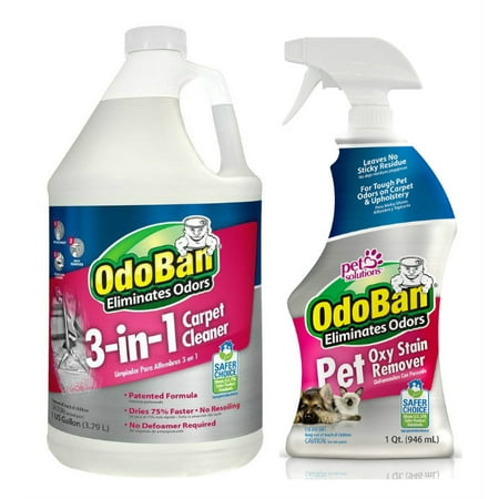 OdoBan Pet Oxy Stain Remover 32oz Spray Bottle and 3-n-1 Carpet Cleaner
