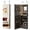 Brown, variant on Gymax Wall Mounted Jewelry Armoire with Full-Length Mirror and 3-Color Lights, Black