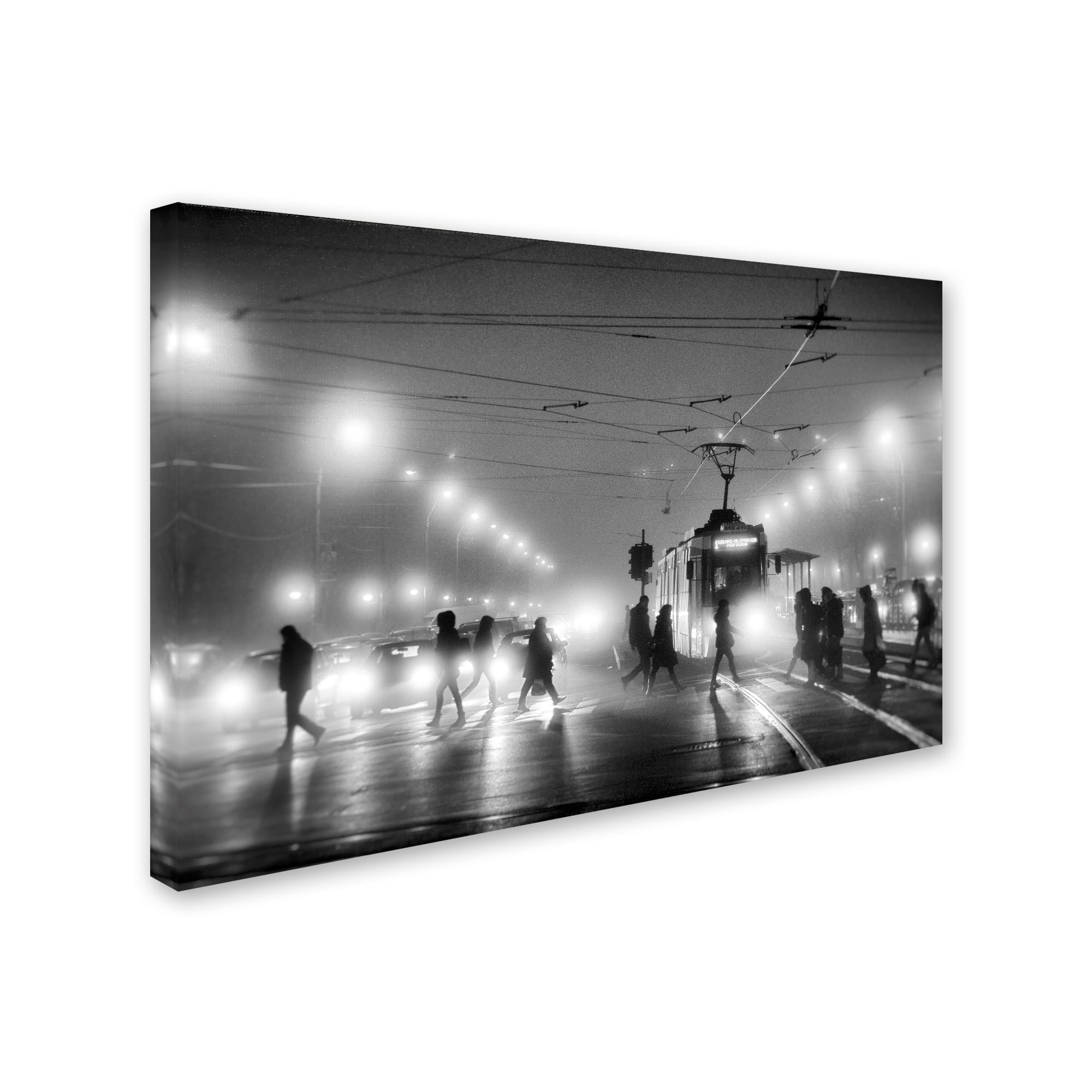 Trademark Fine Art 'In The Mist' Canvas Art by Vrabiuta Albert Adrian