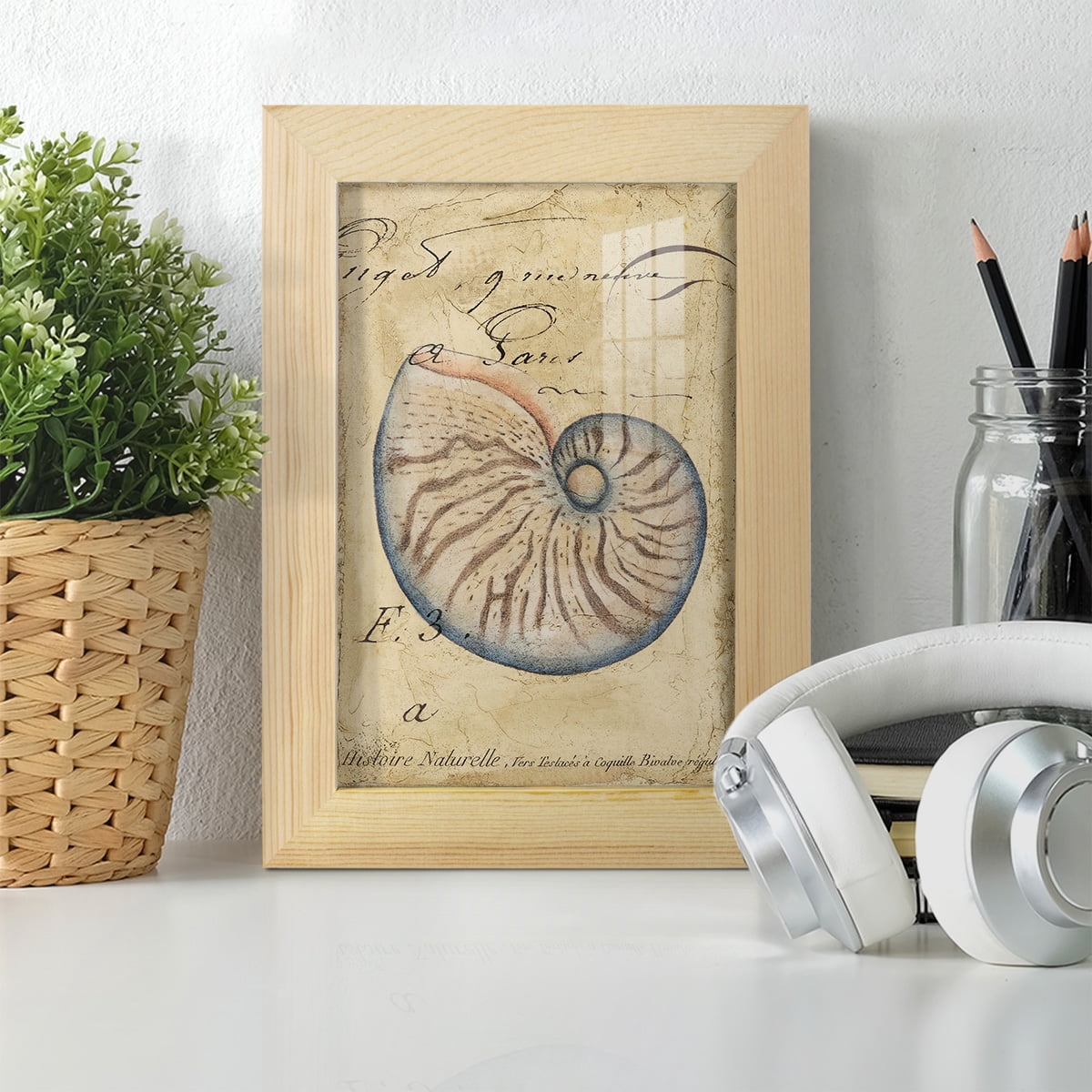 Seashell Ephemera II - Framed Print w/glass - Natural Wood