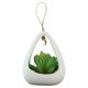 thumbnail image 1 of Simulación de mini planta suculenta en maceta, decoración del hogar, escritorio, decoración de cuarto de ducha, 1 of 5