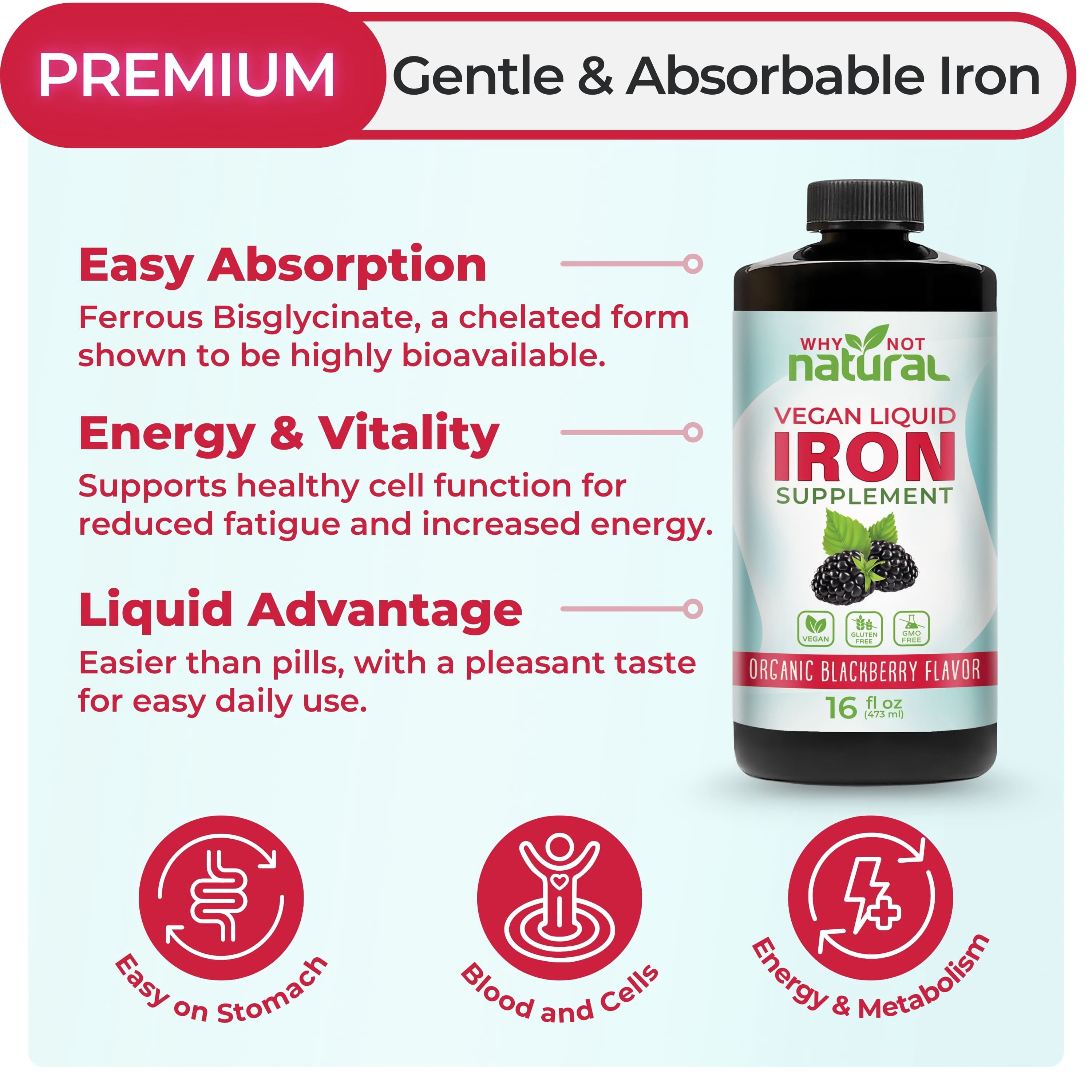 Why Not Natural Liquid Iron Supplement for Women Men and Kids, Vegan Formulation for Anemia