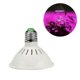 thumbnail image 2 of E27 200led Grow Light Veg Flower Indoor Plant Hydroponics Full Spectrum Lamp, 2 of 5