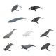 thumbnail image 5 of Juguetes Educativos Sunnimix 10 Uds Figuras de simulación Ballena, 5 of 8