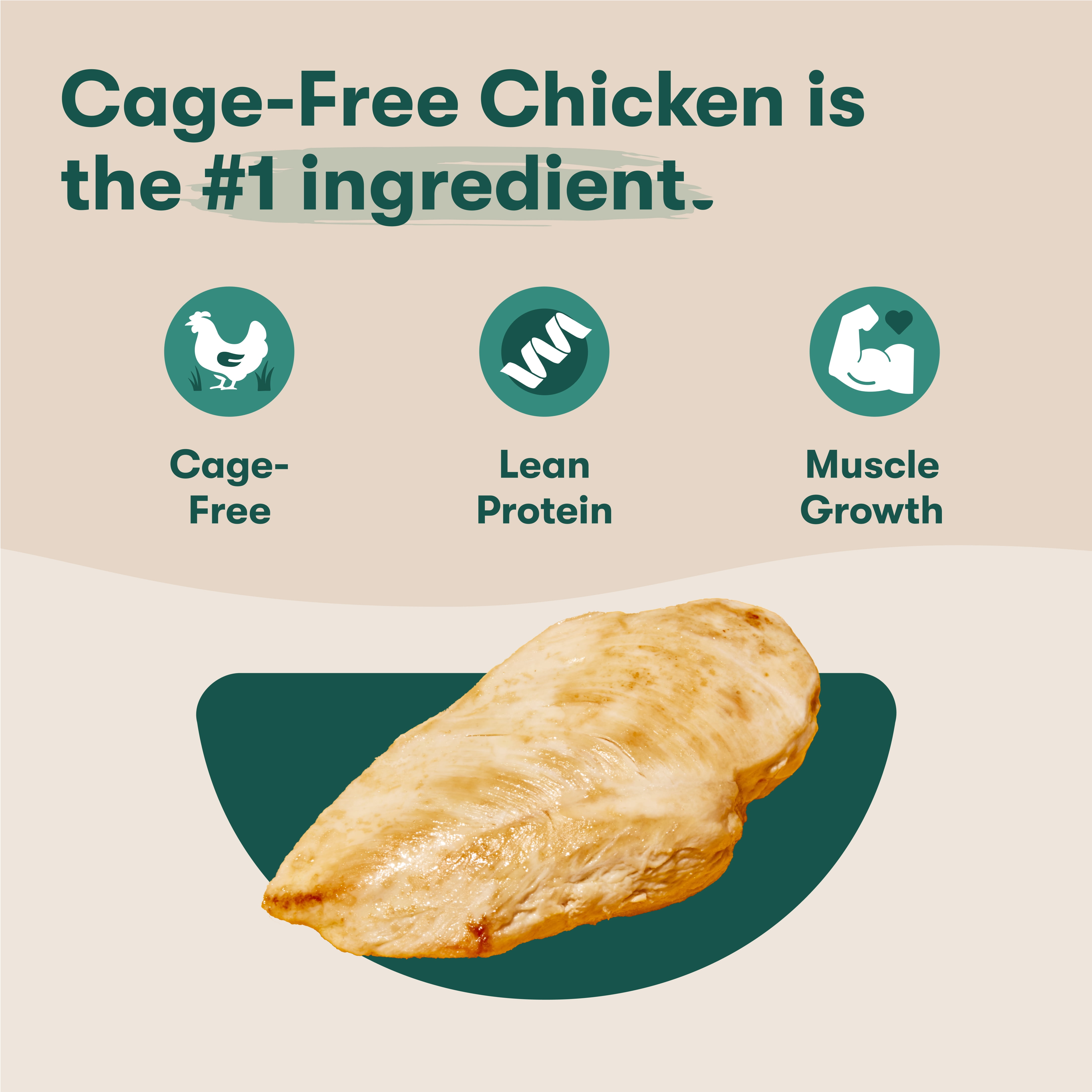 Jinx Cage-Free Chicken, Brown Rice & Sweet Potato Dry Dog Food, 23.5 lb Bag