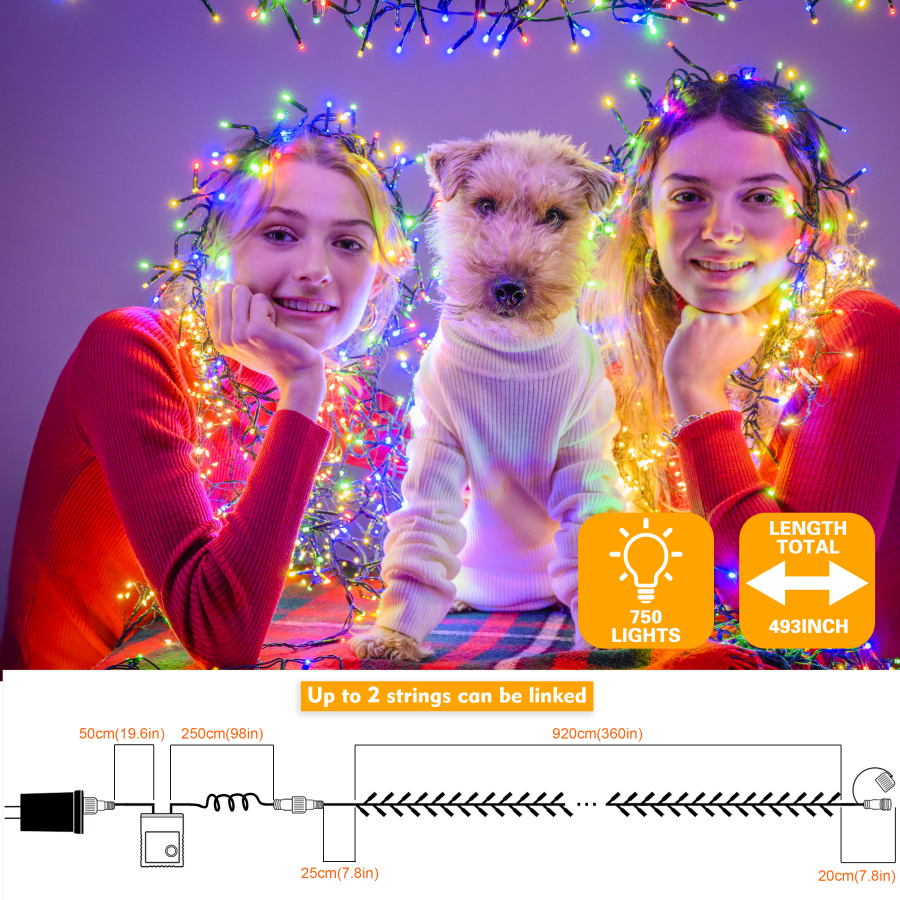 750 LED String Lights Cluster Lights - 41ft Warm White and Multicolor Green Wire Outdoor Waterproof Lights, Plug in Indoor String Lights with 8 Modes & Timer Memory for Xmas, Christmas Tree