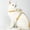 S, variant on Cat Harness, T-Shaped Adjustable Chest Strap for Outdoor Walking, Anti-Slip Cat Leash for Small Medium Cats