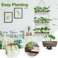 thumbnail image 3 of XXXFLOWER Wall Hanging Propagation Station with Wooden Stand 7 Glass Test Tubes 3 Tiered Planters Wall Terrarium, 36 x 15.7 inch, 3 of 8