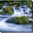 thumbnail image 2 of Outdoor Living and Style White and Green Mossy Rocks in River Outdoor Canvas Square Wall Art Decor, 2 of 2