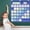 Blue, variant on This 2.75 X 2.75Cm Monthly Calendar with Card Pockets Is A Must-Have for Homeschooling and Classroom Learning (Black)
