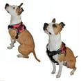 thumbnail image 6 of Durable Heavy Duty Padded No-Pull Dog Harness Handle Reflective Red Sz Medium (chest 18" - 22"), 6 of 6