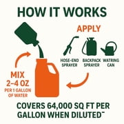 GS Plant Foods Green Envy Grass Grasses Liquid Fertilizer Concentrate, 1 Gallon with Turf Care & Healthy Grass