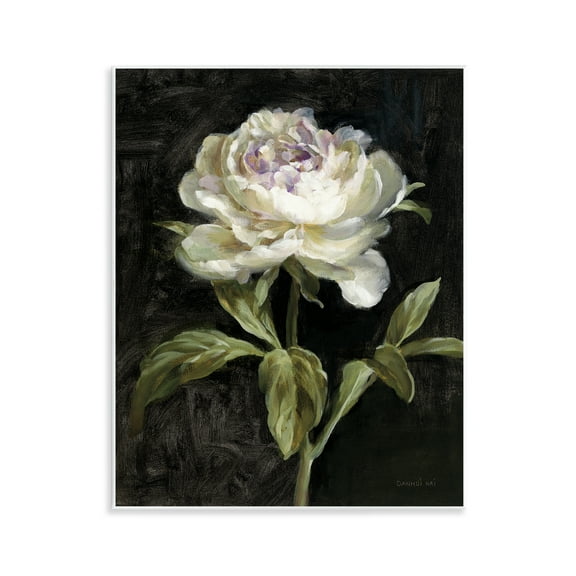 Stupell Industries Peony on Black Plants & Flowers Painting Unframed Art Print Wall Art, 11 x 14