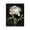 White Peony on Black, variant on Stupell Industries Victorian Hydrangea on Black Canvas Art, 16 x 20, by Danhui Nai