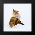 thumbnail image 2 of Lindstrom, Pia 20x20 Black Modern Framed Museum Art Print Titled - Winterfox, 2 of 5